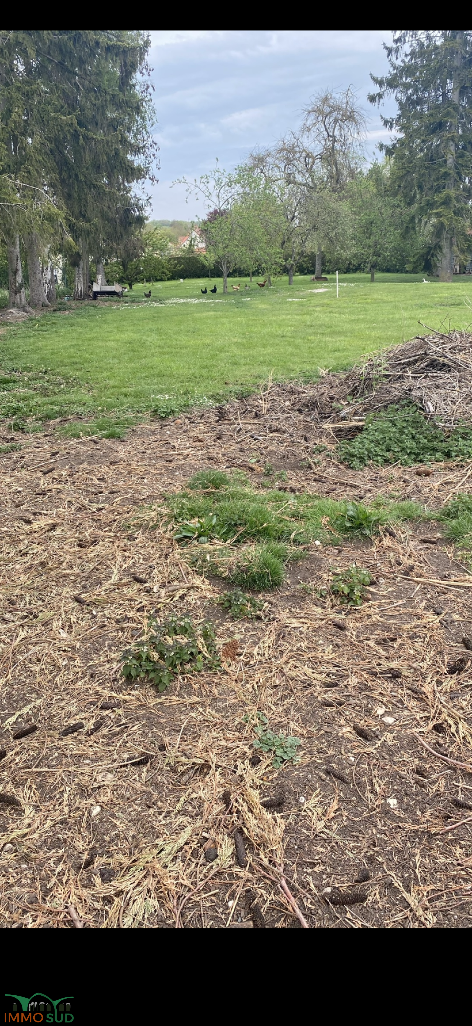 Image_, Terrain, Rumaisnil, ref :798-4